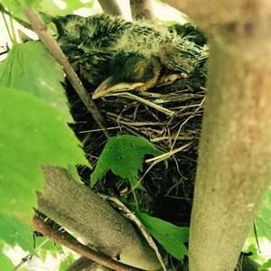 Meet your Posher, Stacey